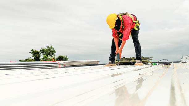 Best Storm Damage Roof Repair  in Amity Gardens, PA