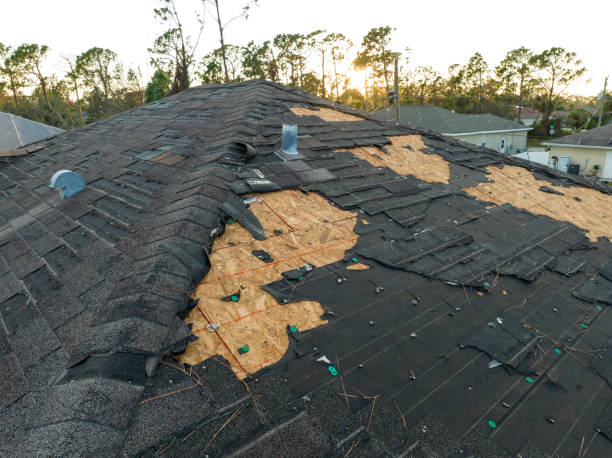 Best Solar Panel Roofing Installation  in Amity Gardens, PA