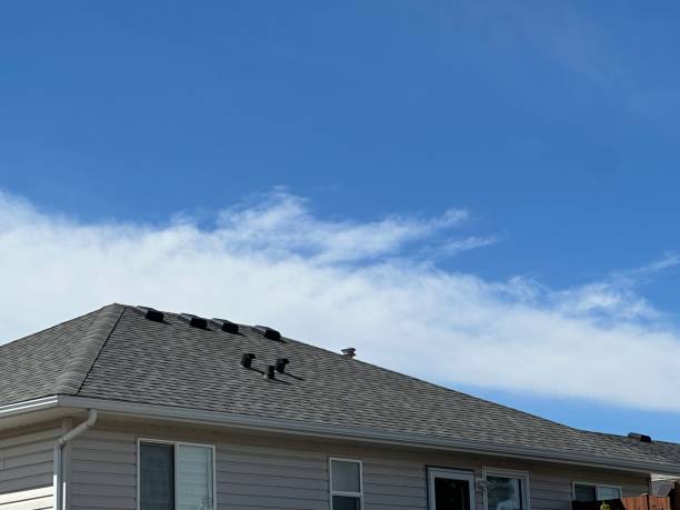 Best Roof Moss and Algae Removal  in Amity Gardens, PA
